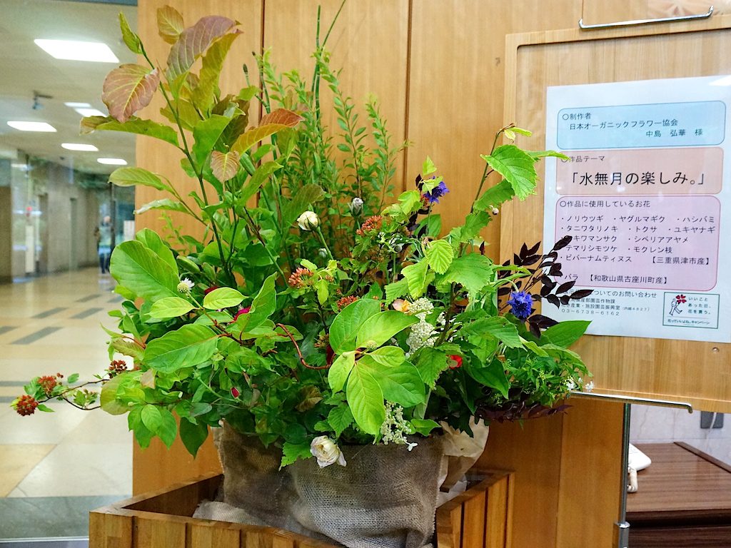 農林水産省にオーガニックフラワーのいけばな展示 18年6月 Organic Flower Japan オーガニックフラワージャパン